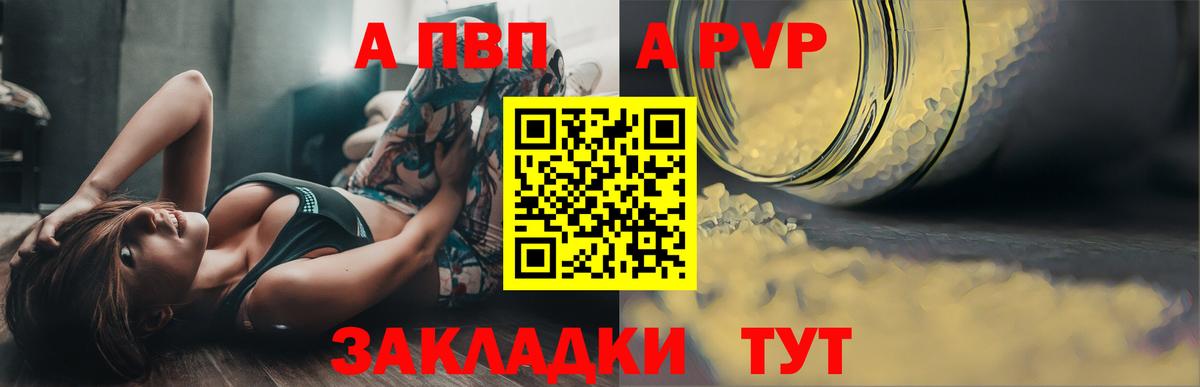 Альфа ПВП СК Горно-Алтайск