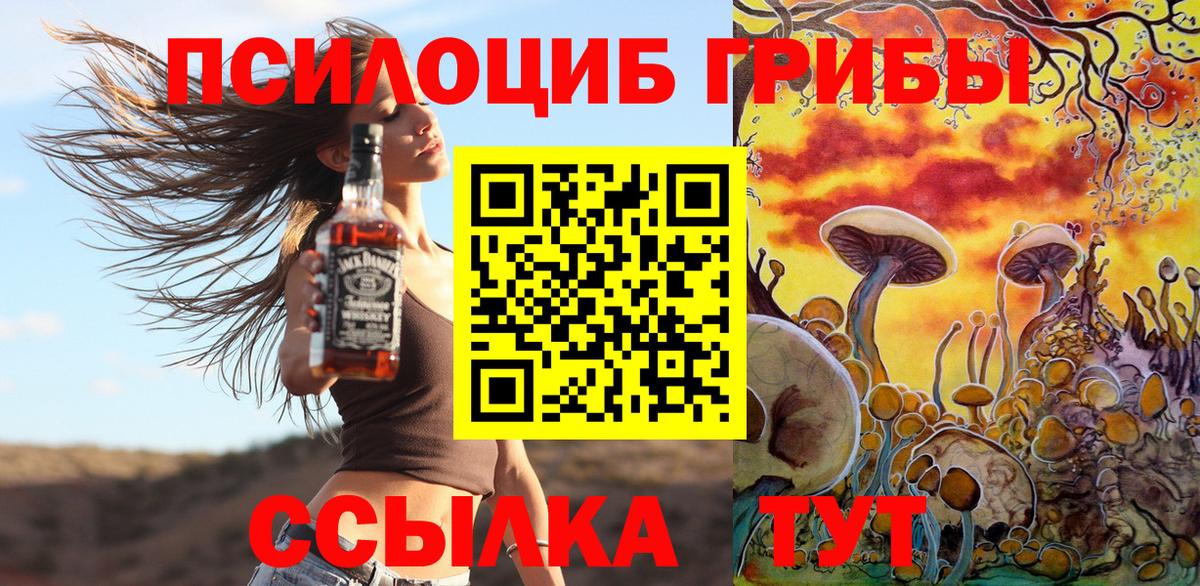 Горно-Алтайск  Галлюциногенные грибы прущие грибы  Вход с VPN  Псилоцибиновые грибы ЛСД 